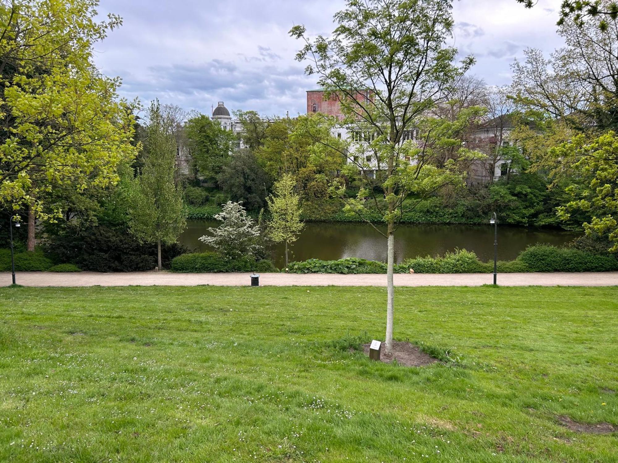 Homey Apartments - Riverside - Mit Weserblick Und Parkplatz Bremen Exterior foto